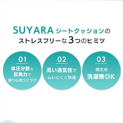 �V�[�g�N�b�V���� SUYARA 245510136-490 �S�[���h _4