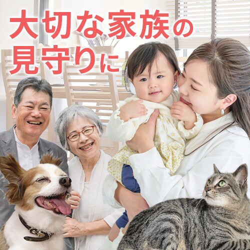 �h�ƃJ���� �����J���� Wi-Fi�l�b�g���[�N �����p IP�J���� JA�|CA43 _7