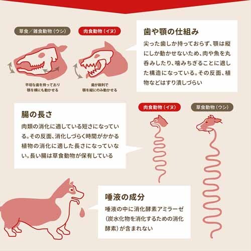 オリジン オリジナル 6kg 7246647 │アイリスオーヤマ公式通販アイリス