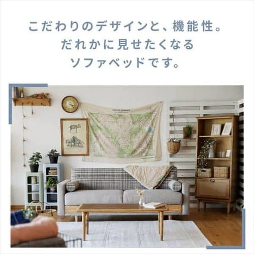 ソファ 3人掛け nora ノラ Hershey ハーシー ソファベッド 306957