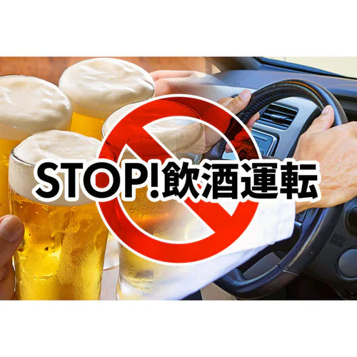 �|�[�^�u���A���R�[���`�F�b�J�[ �R���p�N�g TALC-2500A/WH �z���C�g _12