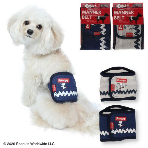 �X�k�[�s�[�}�i�[�x���g SN213-341-00 �X�P�{�[_�f�j��_S_2