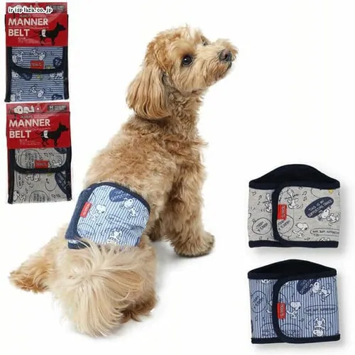 スヌーピーマナーベルト SN213-341-002 スケボー_オートミール_M_3