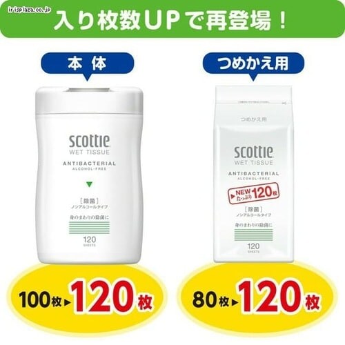 �X�R�b�e�B �E�F�b�g�e�B�b�V�� ���� �m���A���R�[���^�C�v �{�� 120�� 77022 _4