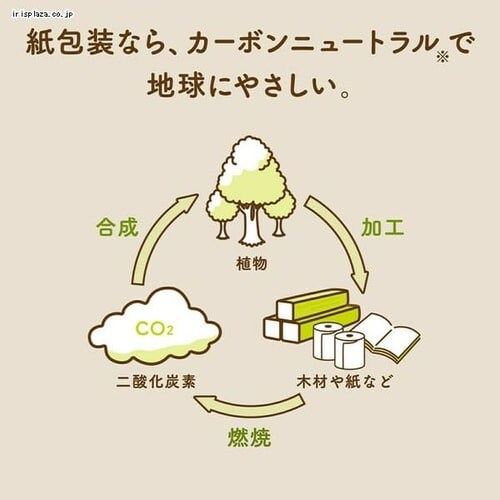 �y1�z �X�R�b�e�B �e�B�b�V�� �J�V�~�A 100�� (50�g)1��_4