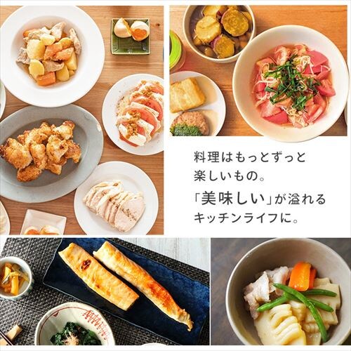 �K�X�e�[�u���i�K�X�� LPG�j�E���Η� KG66VGR(LPG) LPG�E��_2