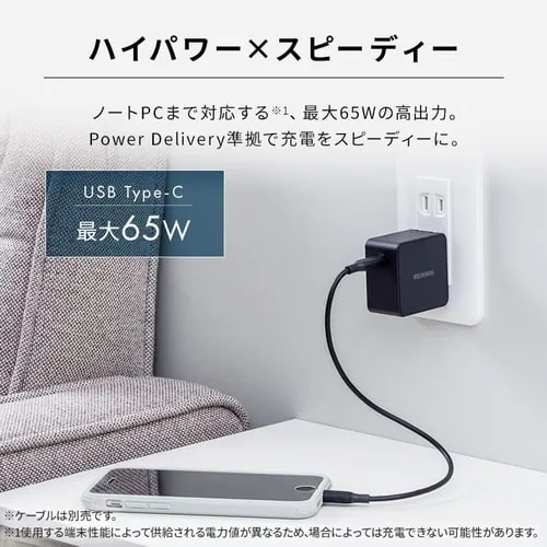 �[�d�� USB ���o�� IQC-C651 �u���b�N (Type-C) _2