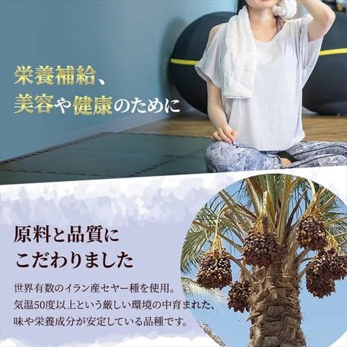 【3袋】種抜きデーツ 750g 【代引き不可】_8