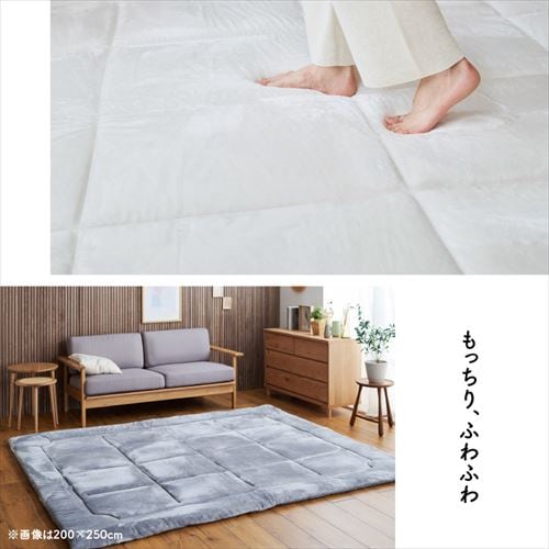 ラグ 超極厚ラグ 5層構造 極厚6cm 抗菌・防臭 防ダニ加工 200cm×250cm