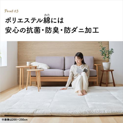 ラグ 超極厚ラグ 5層構造 極厚6cm 抗菌・防臭 防ダニ加工 200cm×250cm
