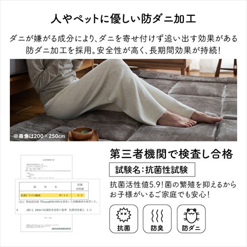 ラグ 超極厚ラグ 5層構造 極厚6cm 抗菌・防臭 防ダニ加工 200cm×250cm