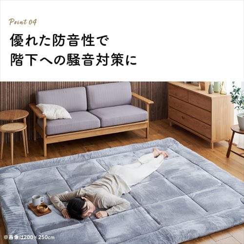 ラグ 超極厚ラグ 5層構造 極厚6cm 抗菌・防臭 防ダニ加工 200cm×250cm