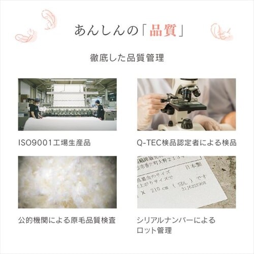 �H�ѕz�c �V���O�� WDD85% 350dp 0.7kg ���y�� �O���[_2