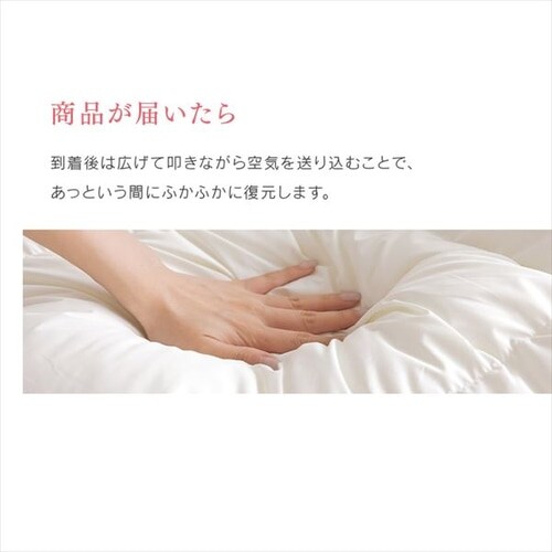 �H�ѕz�c �V���O�� WDD85% 350dp 0.7kg ���y�� �O���[_15