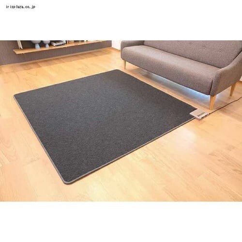 �z�b�g�J�[�y�b�g 2�� 175�~175�p �{�����[�� ���^�i�x�H�� WHC-205VCGR �O���[ _2