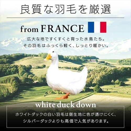 昭和西川 羽毛掛けふとん フランス産WDD85%増量タイプ_3