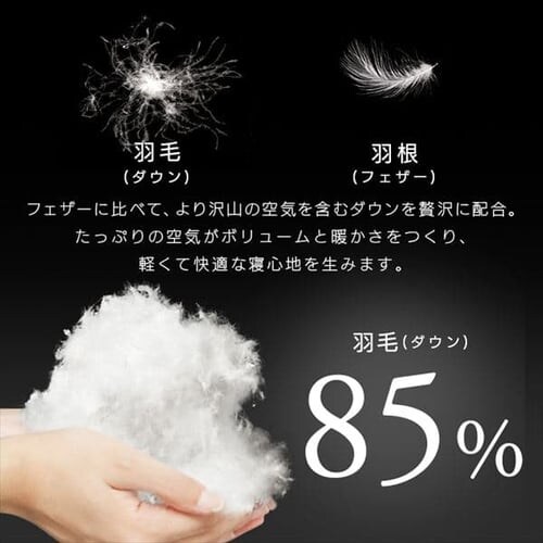 昭和西川 羽毛掛けふとん フランス産WDD85%増量タイプ_4