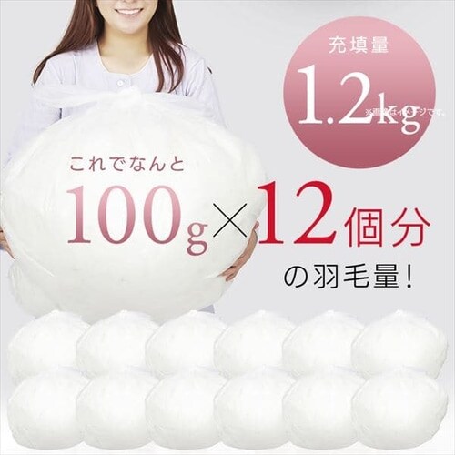 昭和西川 羽毛掛けふとん フランス産WDD85%増量タイプ_5
