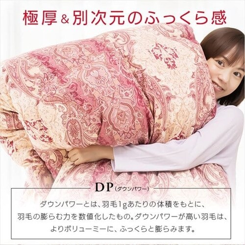 昭和西川 羽毛掛けふとん フランス産WDD85%増量タイプ_6