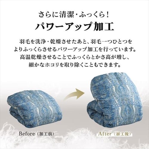 ���a���� �H�ъ|���ӂƂ� �n���K���[WGD93�� �T�e��_10