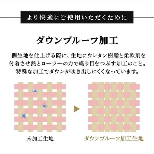 ���a���� �H�ъ|���ӂƂ� �n���K���[WGD93�� �T�e��_16