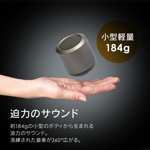 �X�s�[�J�[ Bluetooth �A���g�p24h BTS-101-H �O���[ _2