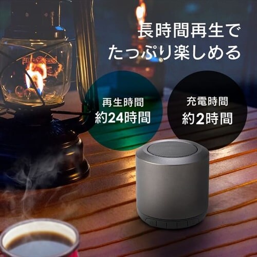 �X�s�[�J�[ Bluetooth �A���g�p24h BTS-101-H �O���[ _5