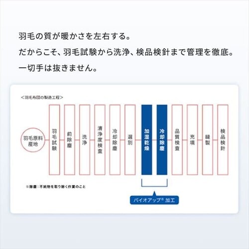 ���� WDD85% �V���O�������O ���C�Y�u���[_10
