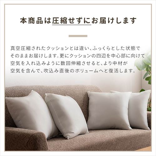 ポリエステルヌードクッション ホワイト 7250866 │アイリスオーヤマ