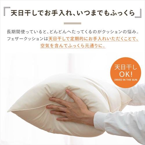 フェザーヌードクッション(2個入) 生成り 7250870 │アイリスオーヤマ