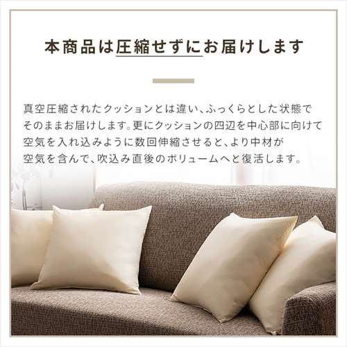 低反発チップヌードクッション(2個入) 生成り 7250873 │アイリス