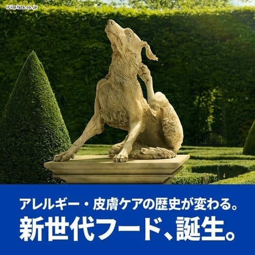 ヒルズ 特別療法食 犬用 オールスキンバリア 小粒 3kg 7250956