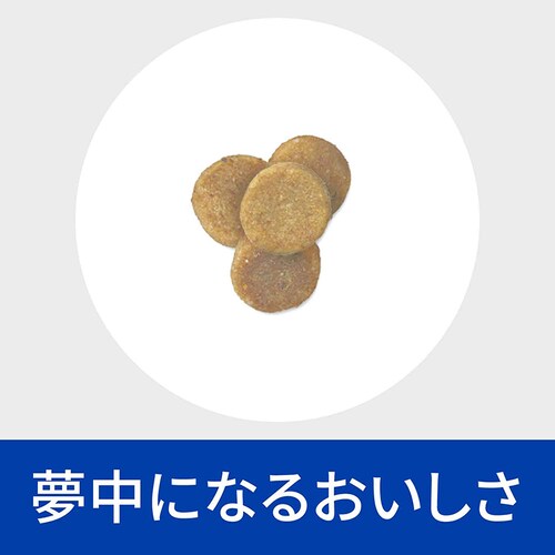 �L�p �T�[���� 500g �L���b�g�t�[�h �y�b�g�t�[�h �L �l�R �Ö@�H �q���Y_6