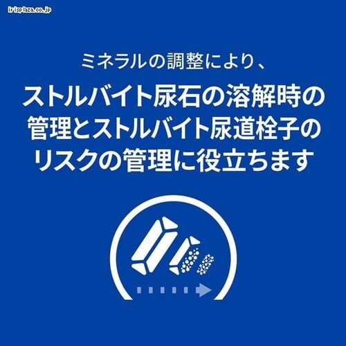 �q���Y �L�p s/d 500g_5