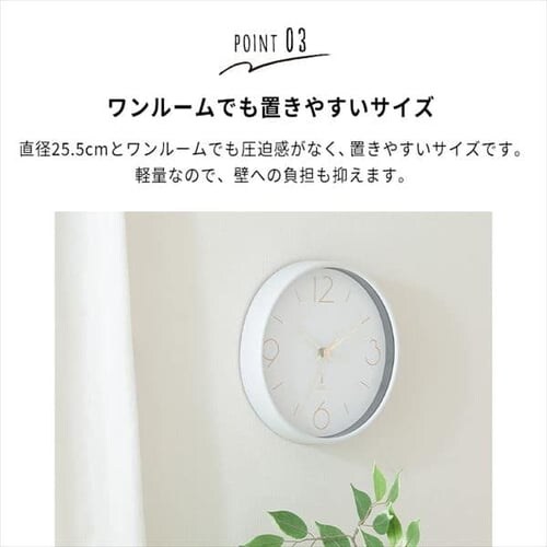 �d�g�|���v �A���I�X ���a25cm 28192 �~���g�O���[��_5