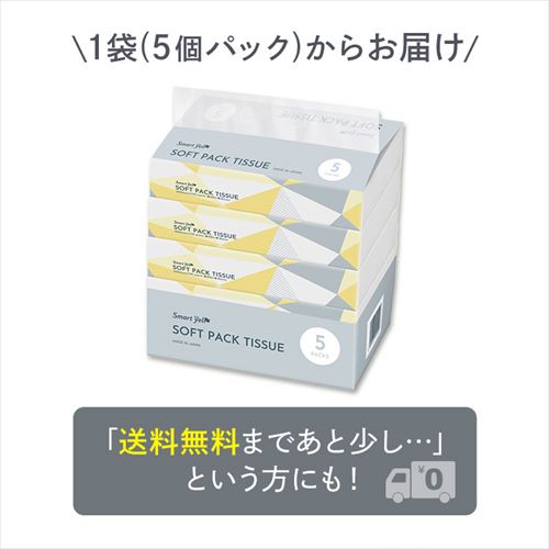 25パック】 ティッシュ ソフトパック 300枚 (150組) 5パック×5 国産