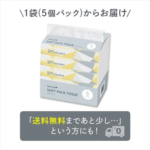 【25パック】 ティッシュ ソフトパック 300枚 (150組) 5パック×5 国産_3
