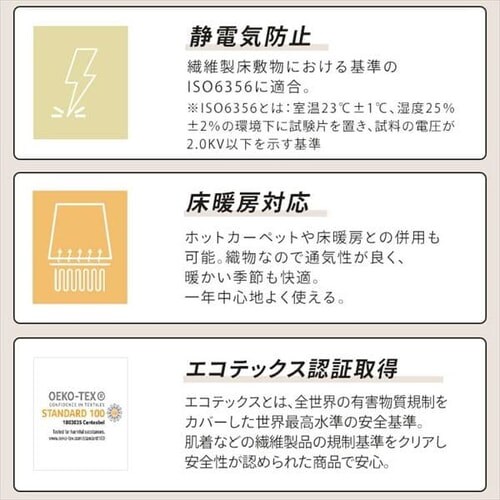 ���O �E�B���g���D���O 140cm�~200cm �w�����{�[���� �A�C�{���[_9