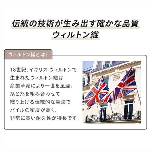 ���O �E�B���g���D���O 140cm�~200cm �w�����{�[���� �A�C�{���[_10