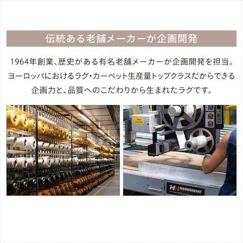 ���O �E�B���g���D���O 140cm�~200cm �w�����{�[���� �A�C�{���[_11