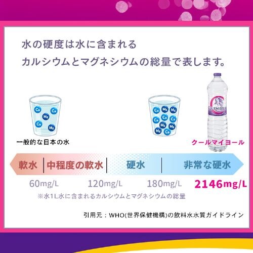 �y48�{�z�� �N�[���}�C���[�� 500ml 24�{�~2�y������s�z_4