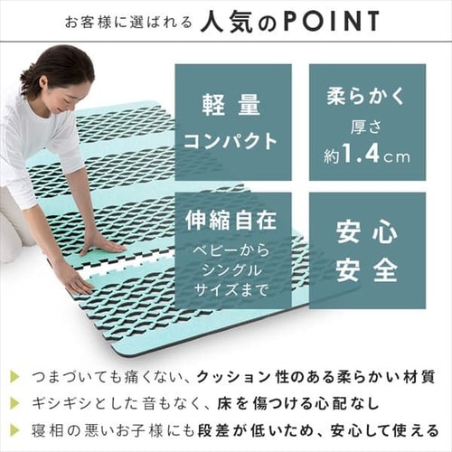 Air Job Max 吸湿マット すのこ型 アレルキャッチャータイプ シングル