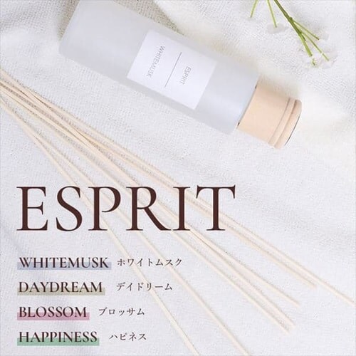 �F���� �G�X�v�� �z���C�g���X�N_3