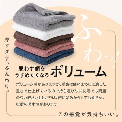 コンパクトシリーズスリムバスタオル 2枚組 7252583F │アイリス