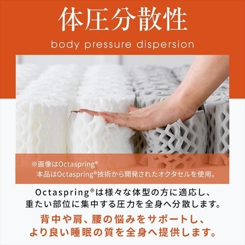 DORMEO �G�b�Z���V���� �������[ �s���[ _9