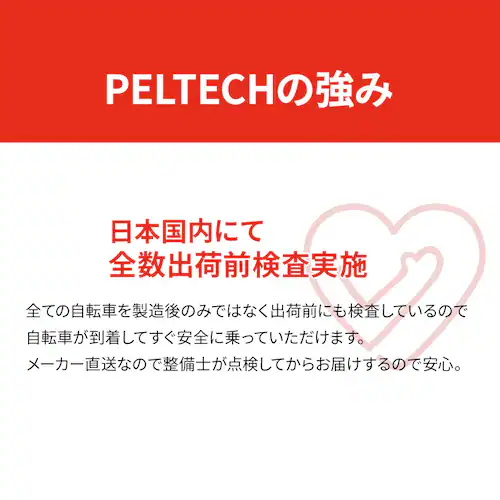 電動自転車 子ども乗せ チャイルドシート付き PELTECH 24インチ ライト カゴ付き グレー【代引き不可】_5