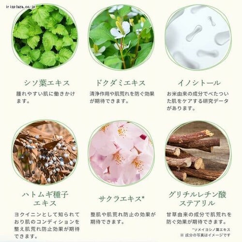 lulumo �V�J�N���[�� _8