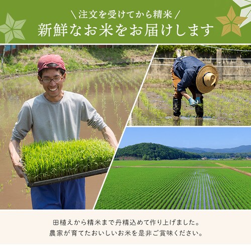 �y10kg�z�ߘa7�N�Y �{�錧�Y �T�T�j�V�L 5kg�~2  �y���Ԏw��s�z�y�v���U�Z���N�g�z�y������s�z_4