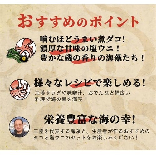 �����ƊC���Z�b�g�i�O���Y�j�y������s�z_4