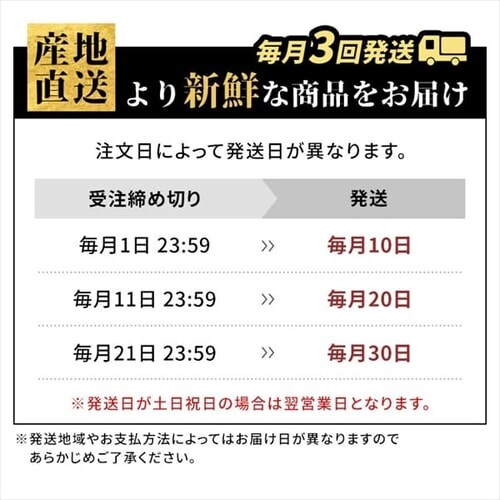 �����ƊC���Z�b�g�i�O���Y�j�y������s�z_19